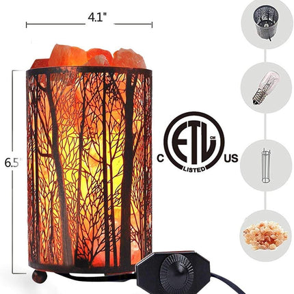 Salt Lamps, Natural Himalayan Salt Lamp, Forest Salt Lamp with Dimmer Switch, Salt Crystal Night Lights, Retro Metal Basket Decor Desk Lamp with Extra 25W Lamp Bulbs