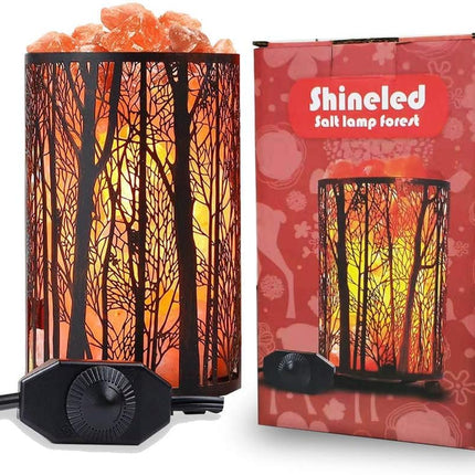 Salt Lamps, Natural Himalayan Salt Lamp, Forest Salt Lamp with Dimmer Switch, Salt Crystal Night Lights, Retro Metal Basket Decor Desk Lamp with Extra 25W Lamp Bulbs
