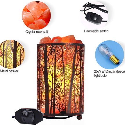Salt Lamps, Natural Himalayan Salt Lamp, Forest Salt Lamp with Dimmer Switch, Salt Crystal Night Lights, Retro Metal Basket Decor Desk Lamp with Extra 25W Lamp Bulbs