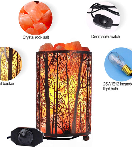Salt Lamps, Natural Himalayan Salt Lamp, Forest Salt Lamp with Dimmer Switch, Salt Crystal Night Lights, Retro Metal Basket Decor Desk Lamp with Extra 25W Lamp Bulbs