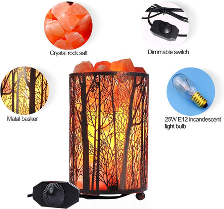Salt Lamps, Natural Himalayan Salt Lamp, Forest Salt Lamp with Dimmer Switch, Salt Crystal Night Lights, Retro Metal Basket Decor Desk Lamp with Extra 25W Lamp Bulbs