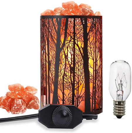 Salt Lamps, Natural Himalayan Salt Lamp, Forest Salt Lamp with Dimmer Switch, Salt Crystal Night Lights, Retro Metal Basket Decor Desk Lamp with Extra 25W Lamp Bulbs